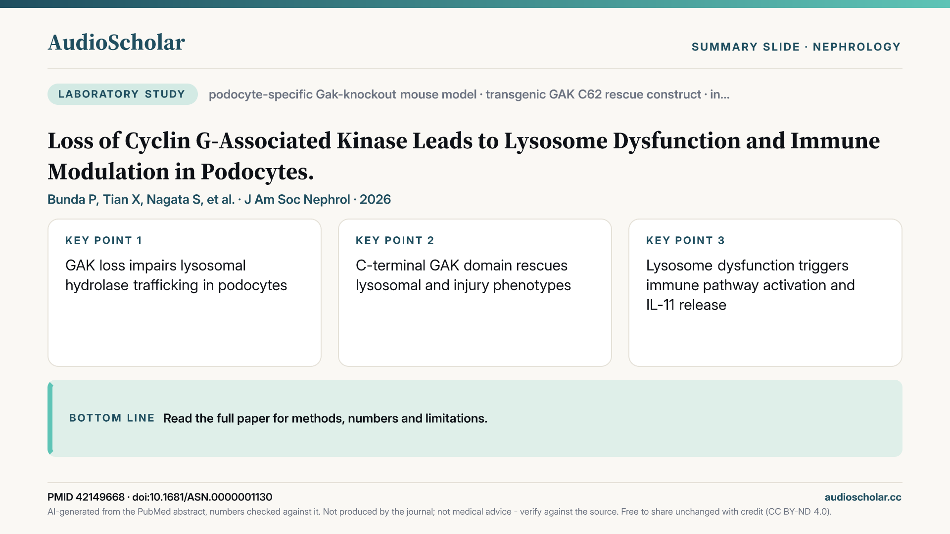 Summary slide: Loss of Cyclin G-Associated Kinase (Gak) Leads to Lysosome Dysfunction and Immune Modulation in Podocytes.