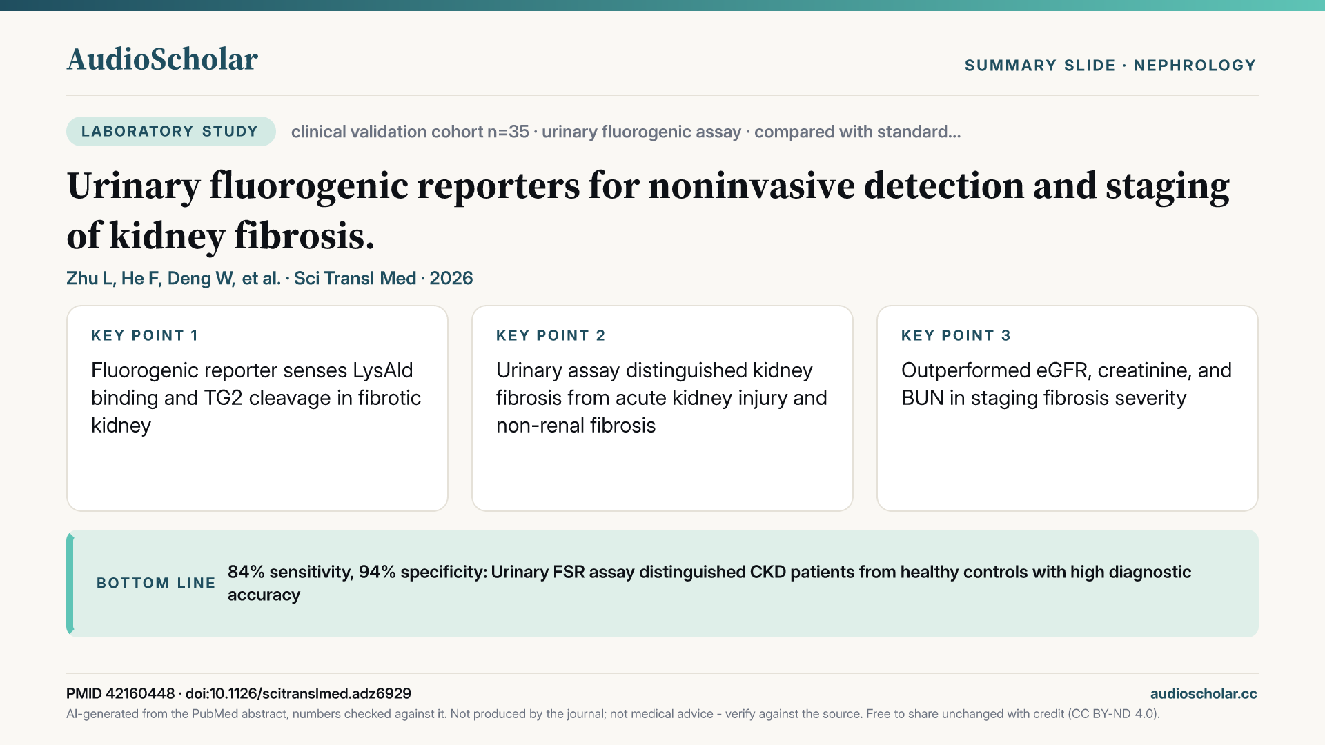 Summary slide: Urinary fluorogenic reporters for noninvasive detection and staging of kidney fibrosis.