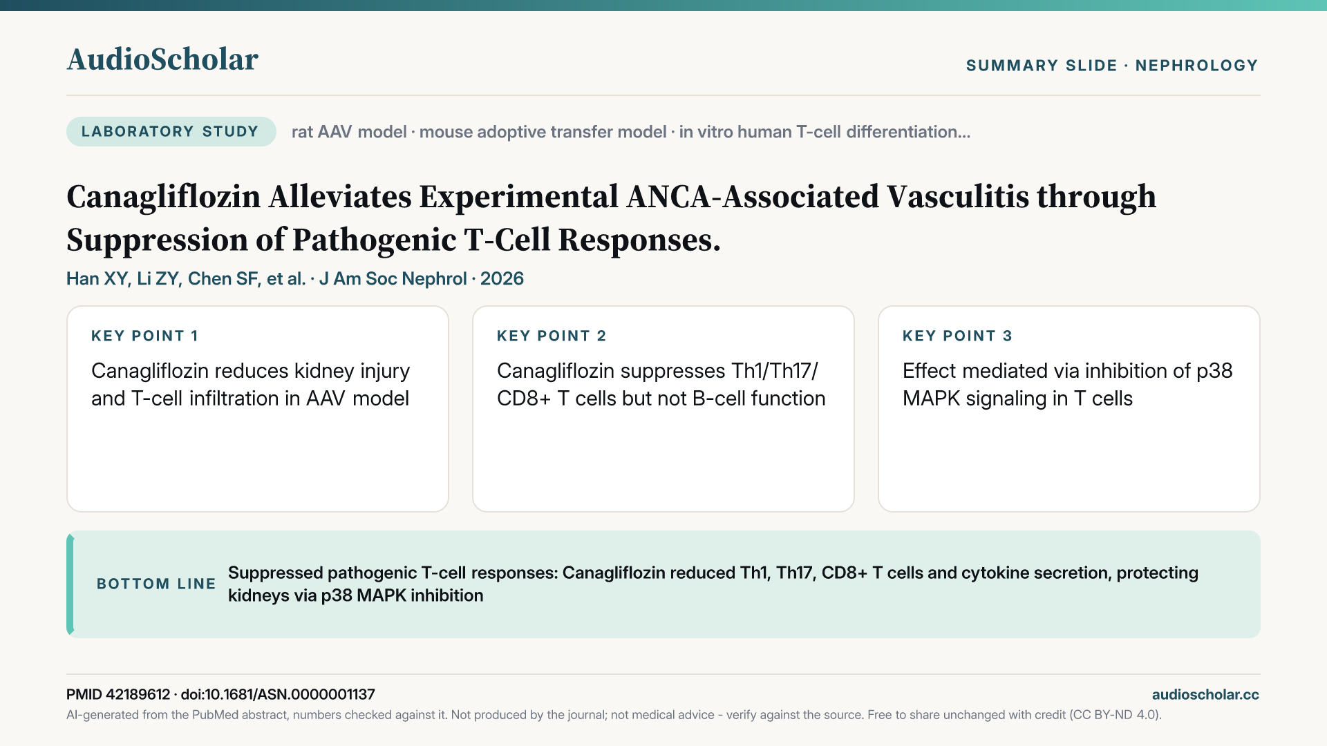 Summary slide: Canagliflozin Alleviates Experimental Antineutrophil Cytoplasmic Antibody-Associated Vasculitis through Suppression of Pathogenic T-Cell Responses.