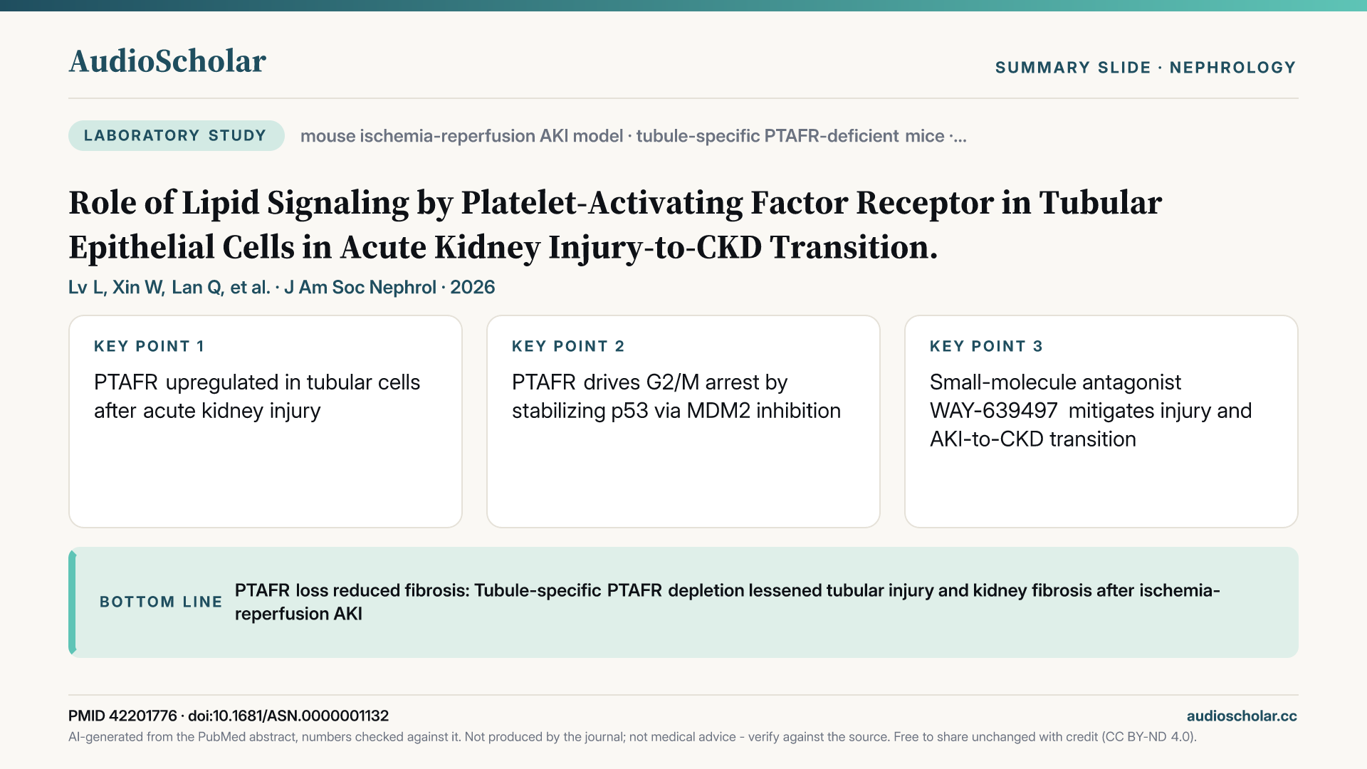 Summary slide: Role of Lipid Signaling by PTAFR in Tubular Epithelial Cells in AKI-to-CKD Transition.