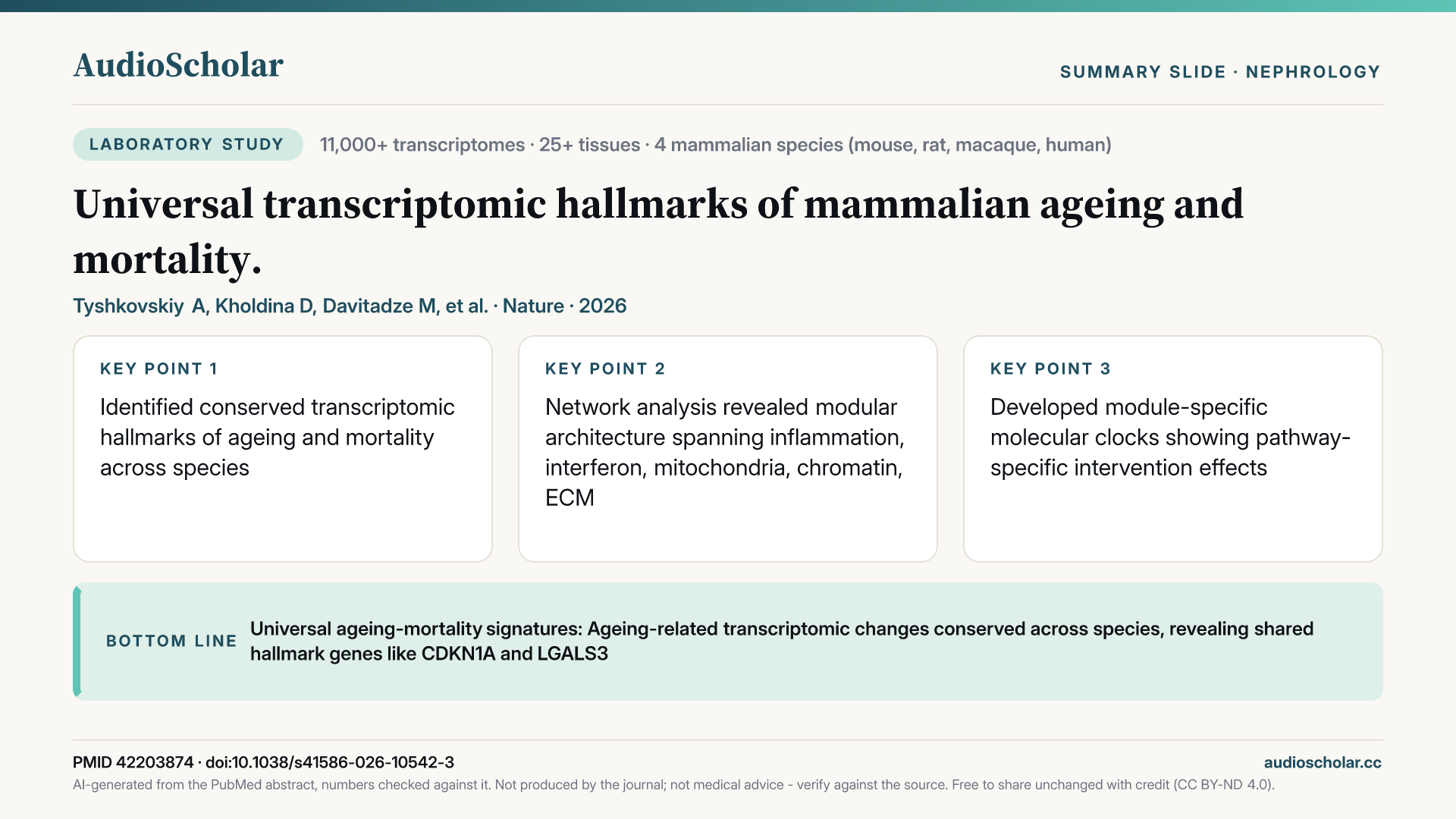 Summary slide: Universal transcriptomic hallmarks of mammalian ageing and mortality.