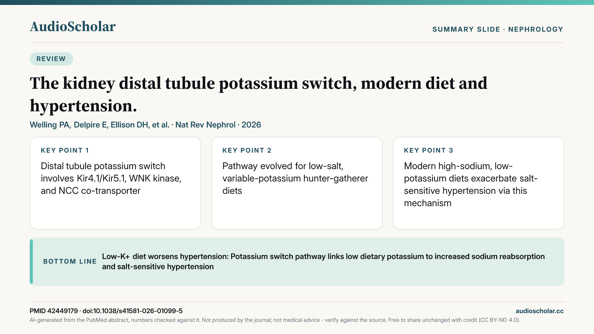 Summary slide: The kidney distal tubule potassium switch, modern diet and hypertension