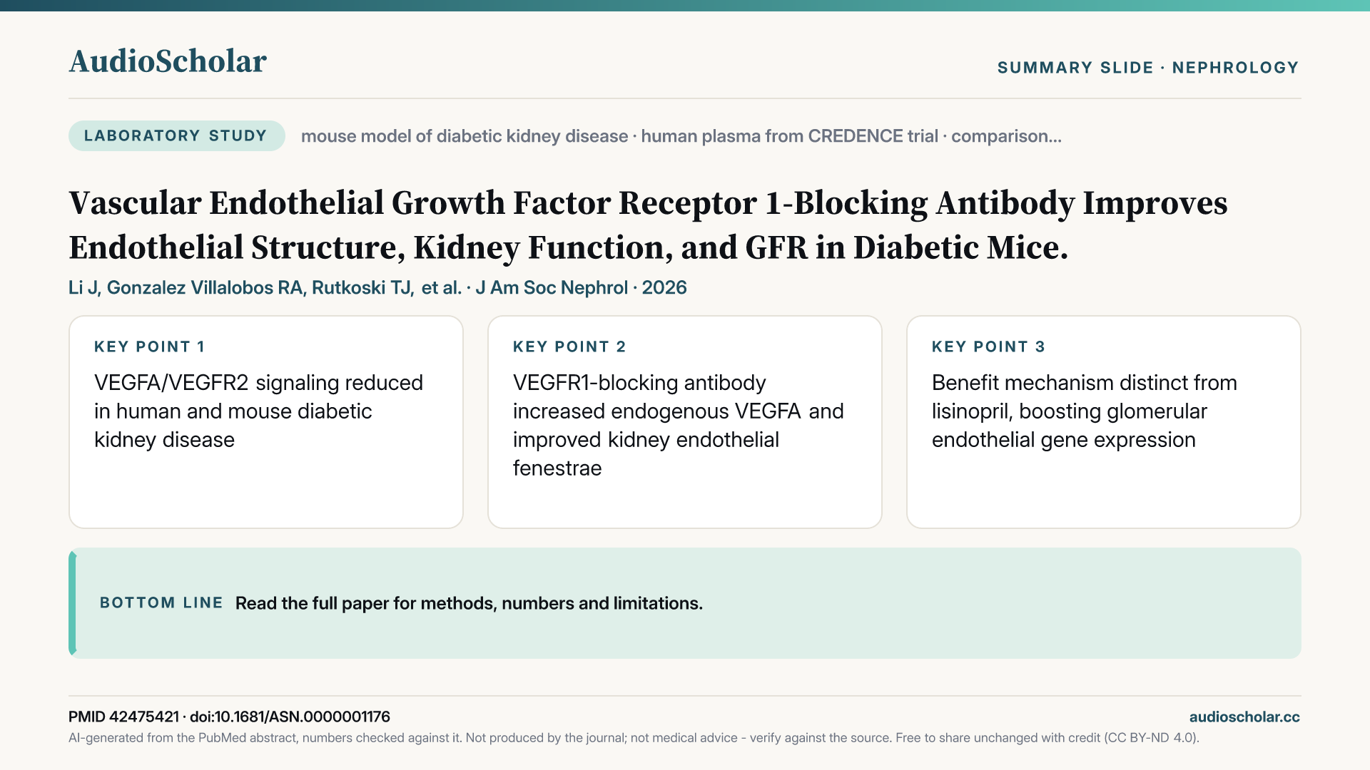 Summary slide: VEGFR1-Blocking Antibody Improves Endothelial Structure, Kidney Function, and GFR in Diabetic Mice