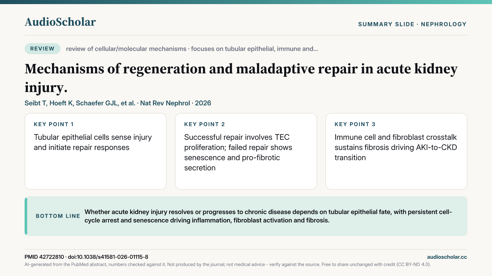 Summary slide: Mechanisms of regeneration and maladaptive repair in acute kidney injury.